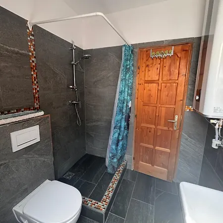 Szőlős Apartman *